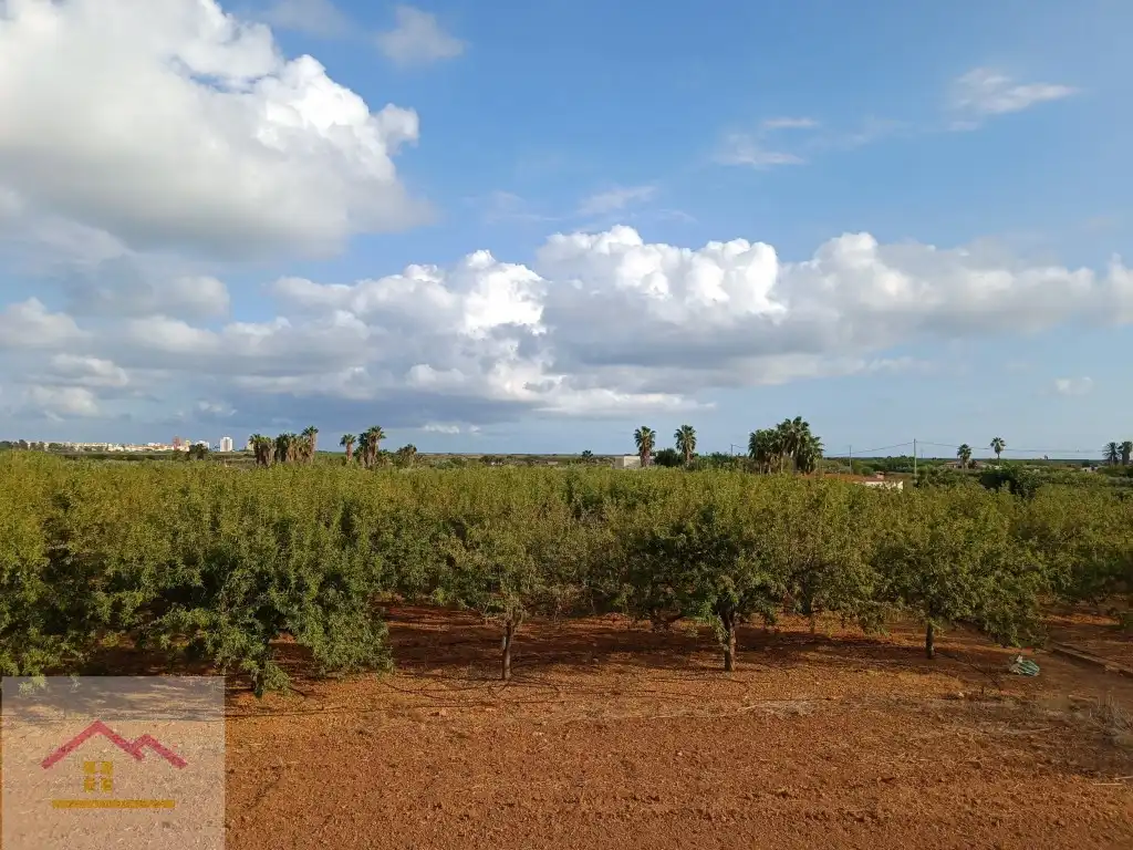 Finca rústica en venda a Calle Oropesa, 14, Torreblanca