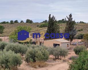 Finca rústica en venda en Aledo amb Terrassa