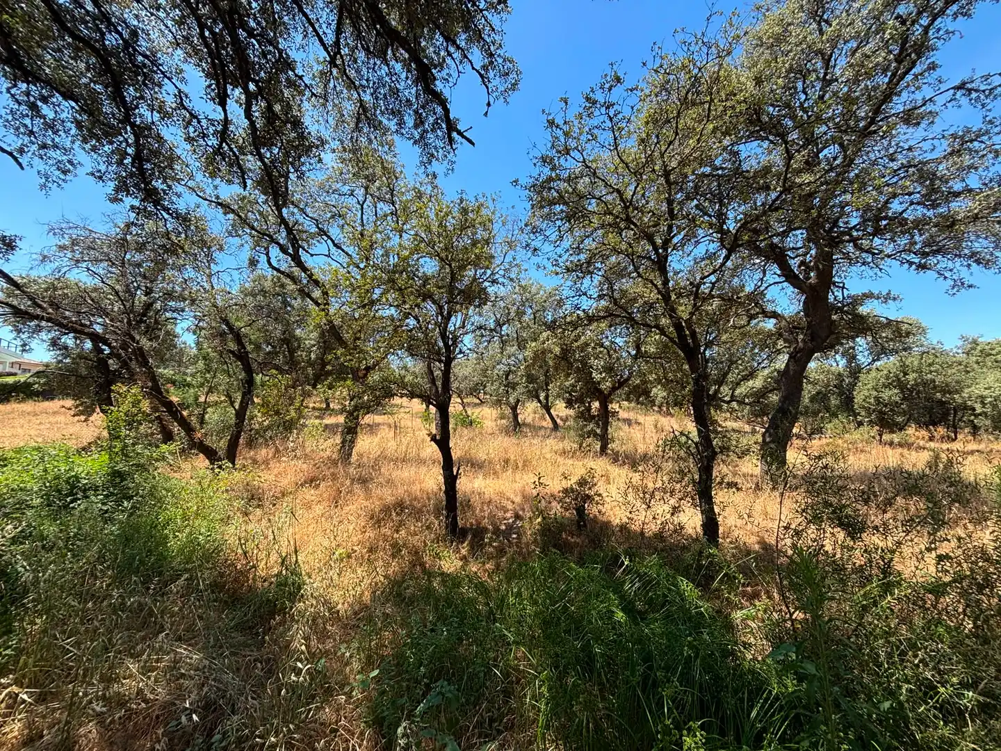Residential land for sale in Paseo del Perú, imagen 6