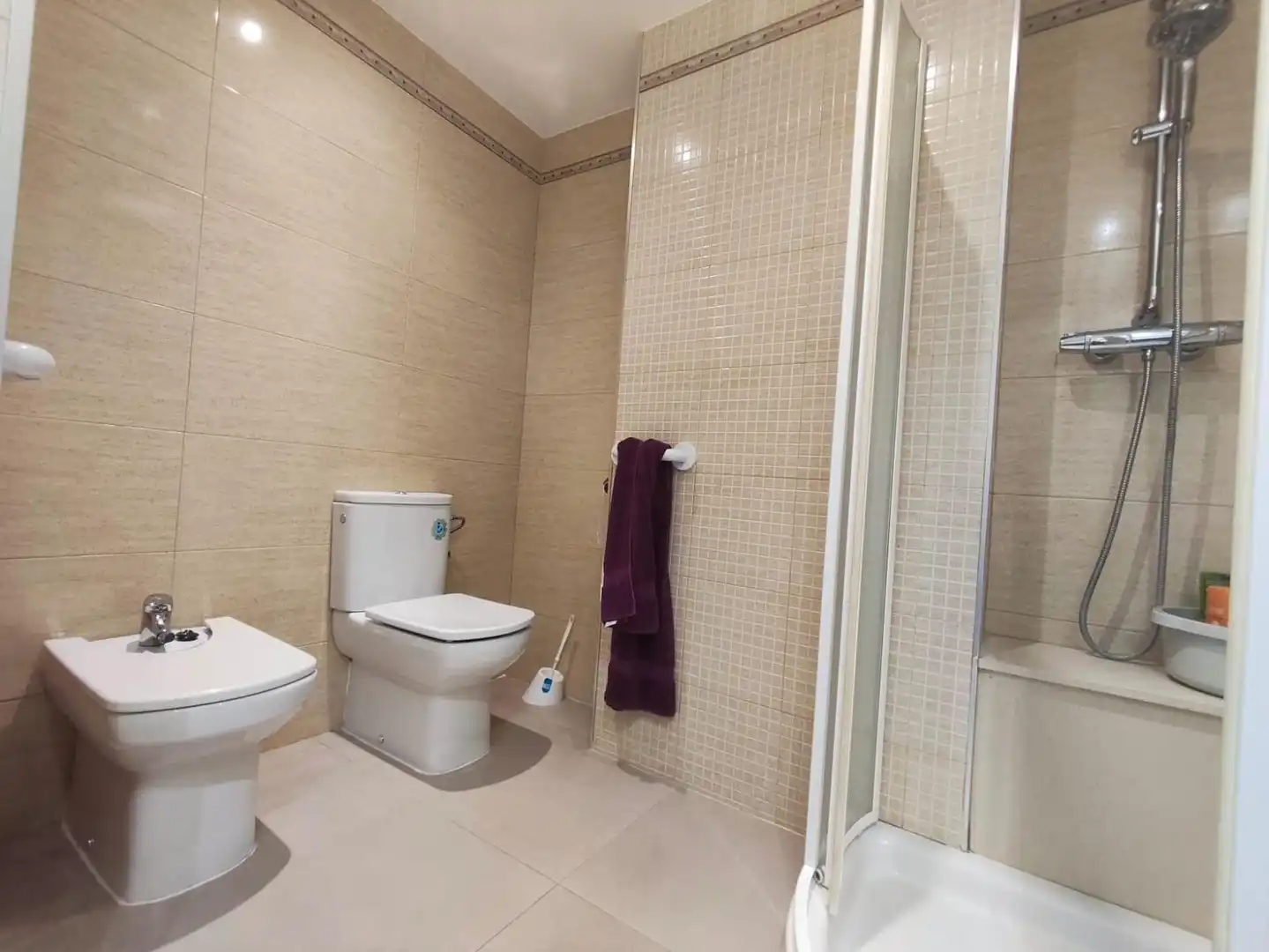 Baño de Piso en venta en Valencia con Jardín privado