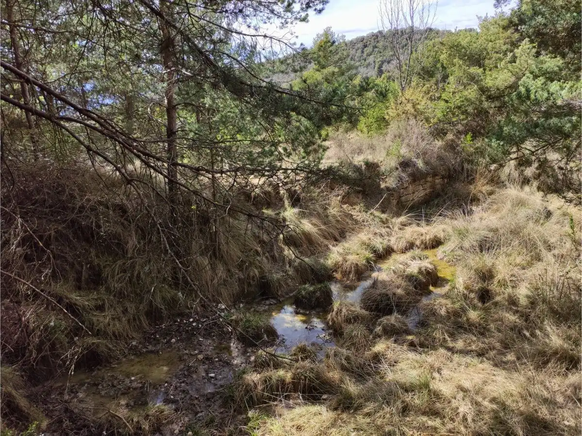 Country homes for sale in La Fueva