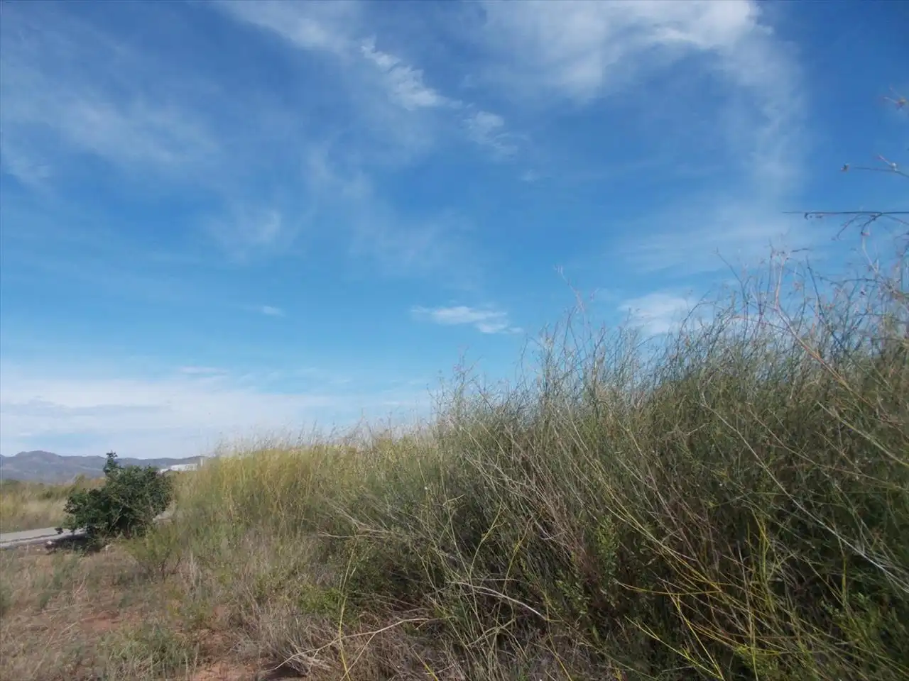 Terreny residencial en venda a Proc. Simplificado, imagen 3