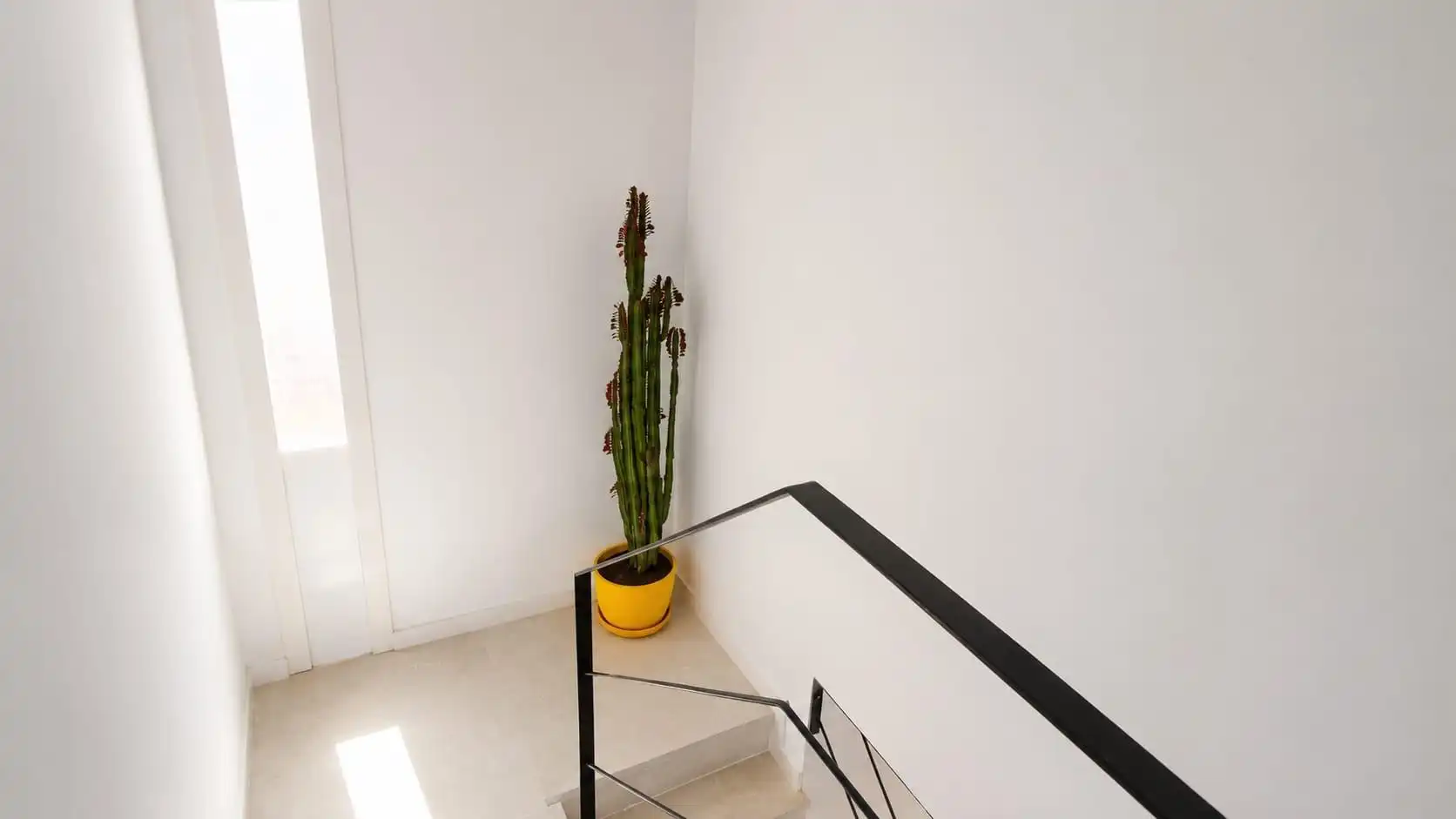 Detached homes for sale in Novo Sancti Petri