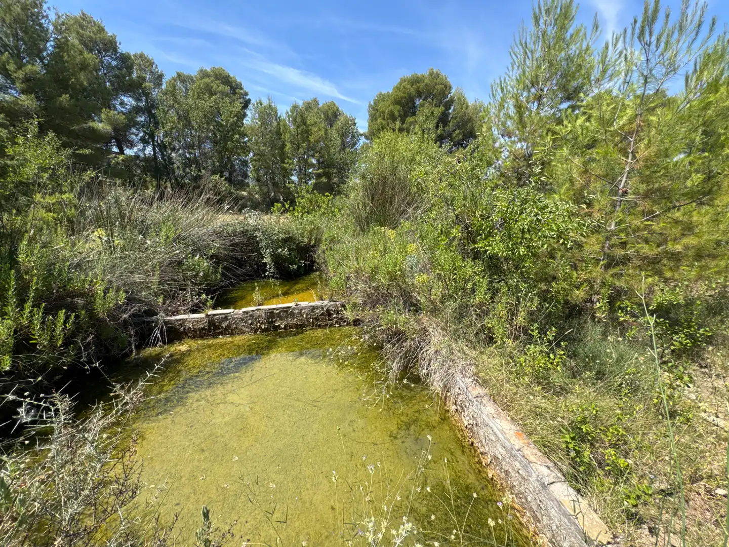 Rural land for sale in N/A, imagen 52