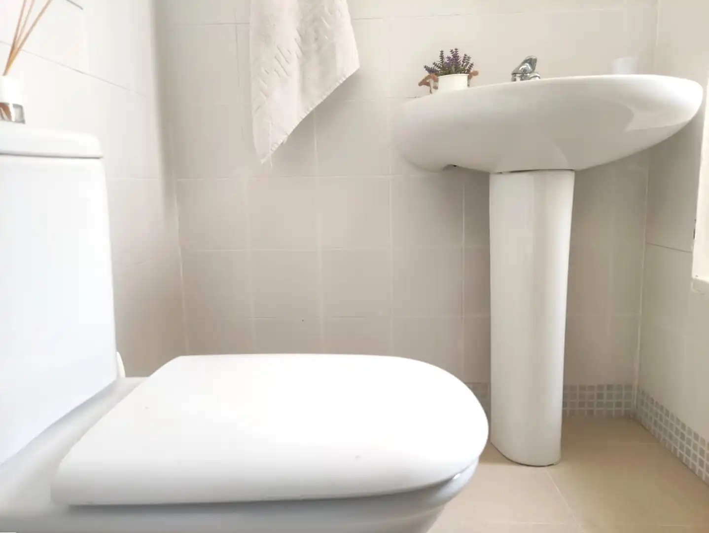 Bathroom of Duplexes for sale in Roquetas de Mar  with Terrace