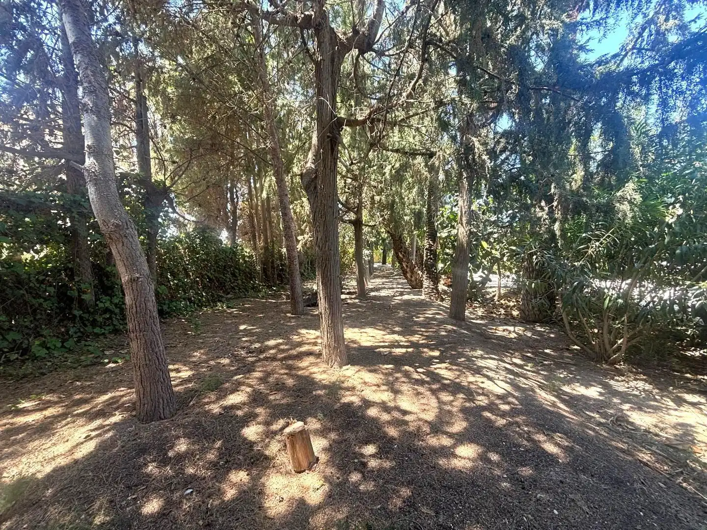 Houses for sale in Elche / Elx
