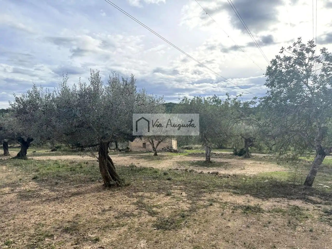 Grundstücke zum Verkauf in L'Ametlla de Mar 