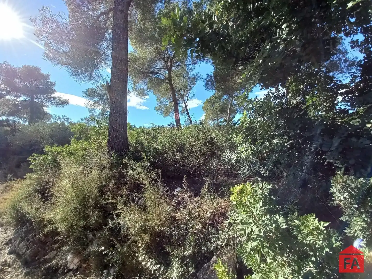 Terreny rústic en venda a La Bisbal del Penedès, imagen 8