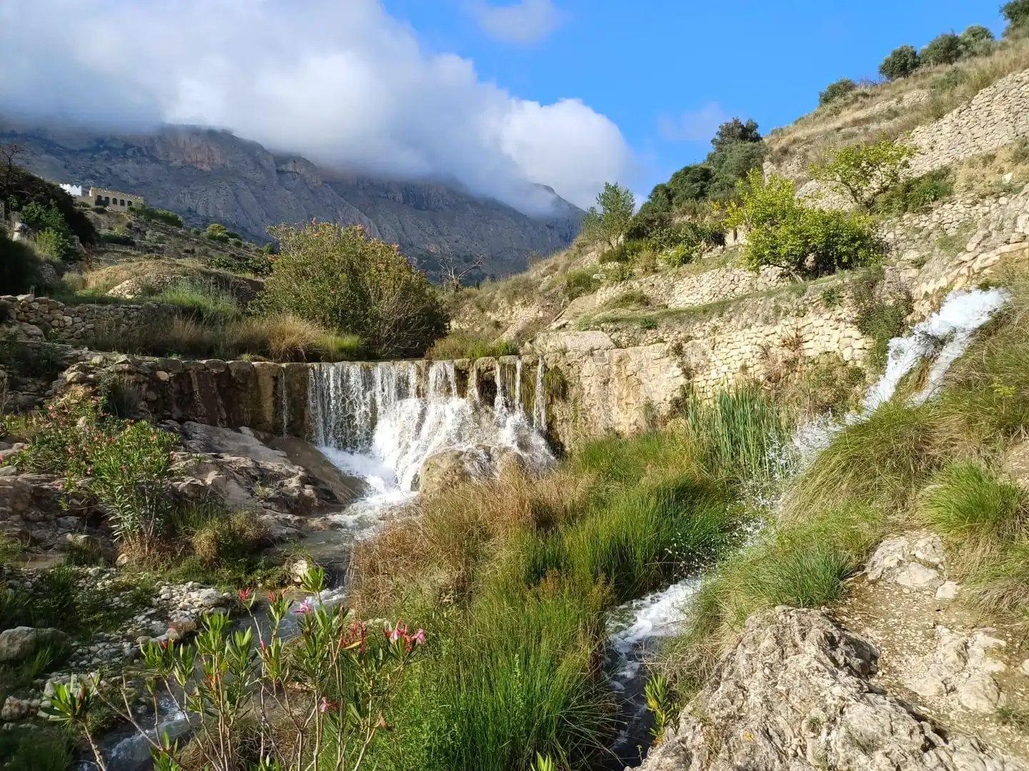 Vista exterior de Casa o xalet en venda en Sella amb Jardí privat