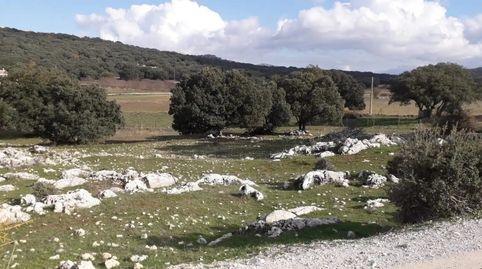 Foto 5 de Finca rústica en venda a Zafarraya, Granada