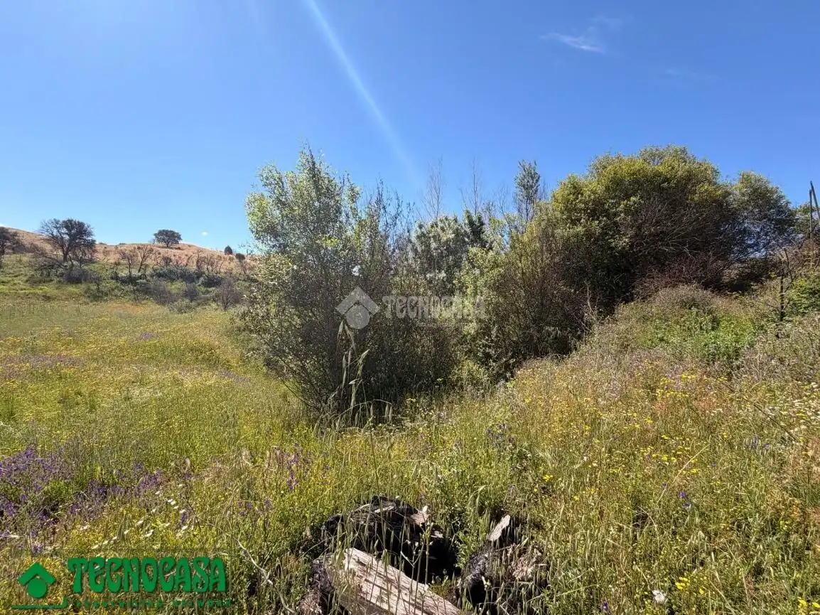 Land for sale in La Torre de Esteban Hambrán