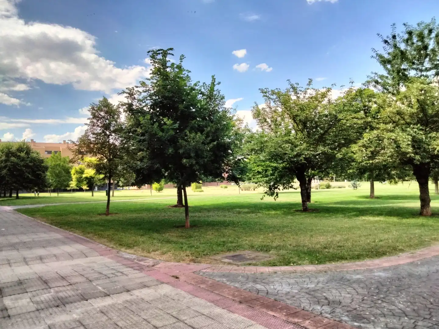 Locale commerciale in cessione a Oeste, imagen 38