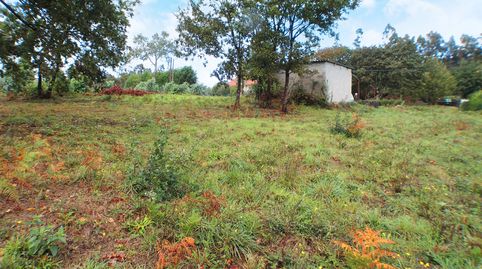 Consigue una finca de 2.000 metros a escasos 10 minutos de A Coruña., imatge 4
