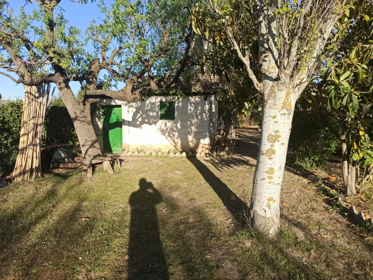 Garden of Houses for sale in Tarazona  with Heating, Private garden and Swimming Pool