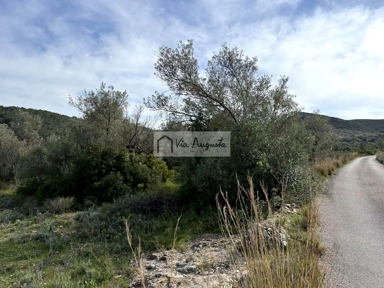 Terreno rustico in vendita a oliveres, imagen 6