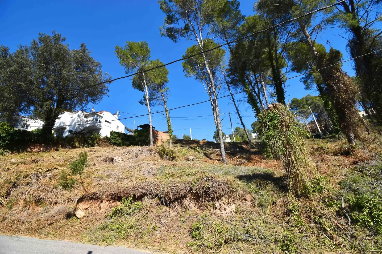Residential land for sale in Olivella, imagen 6