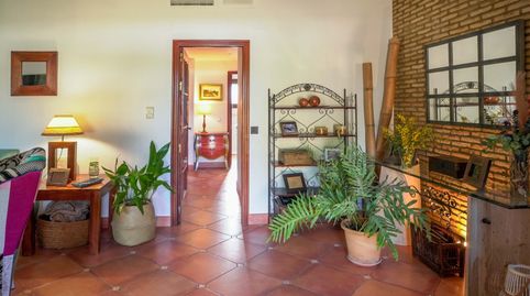 Foto 5 de Casa o chalet en venta en Dehesa - Monacilla, Aljaraque