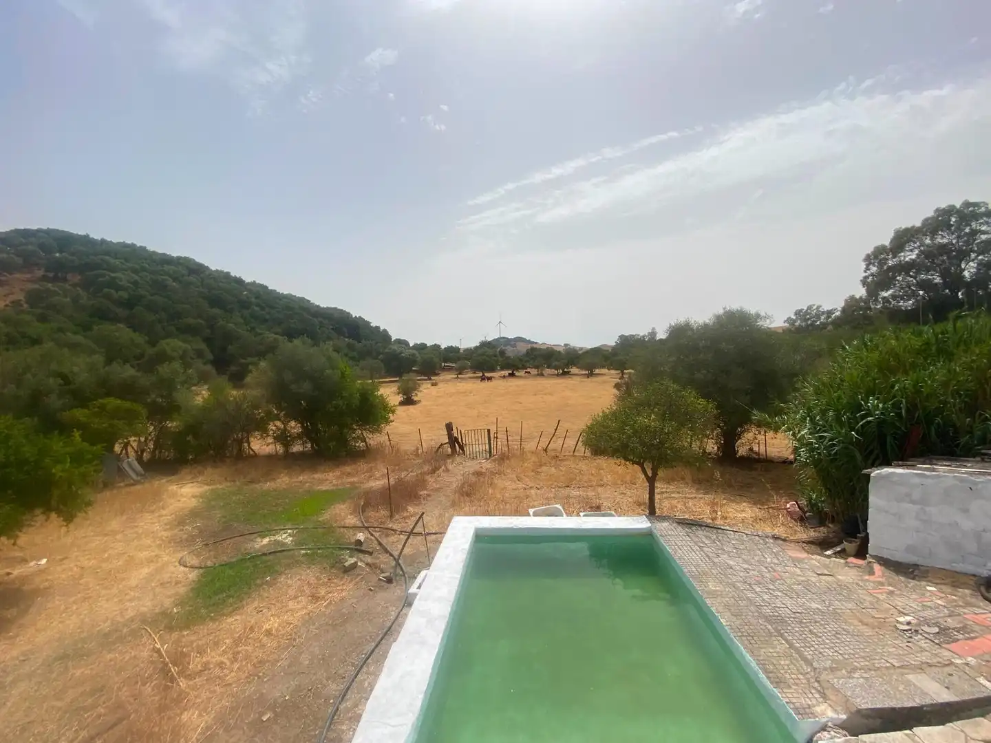 Terreni e lotti in vendita a Alcalá de los Gazules, imagen 29