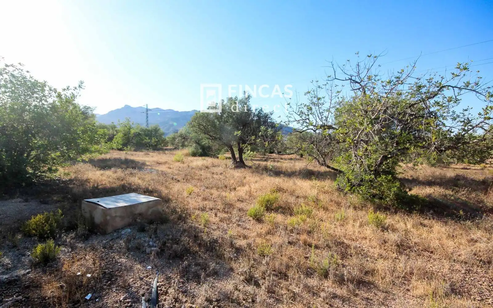Country homes for sale in Xerta