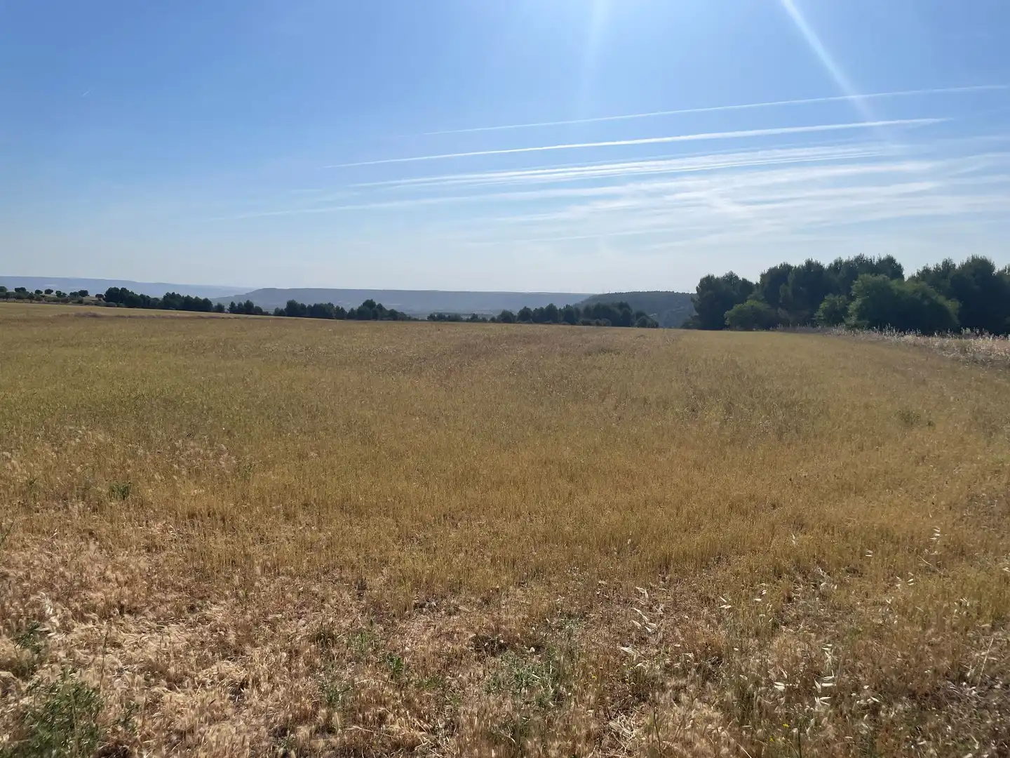 Terreno rustico in vendita a Ontígola, imagen 6