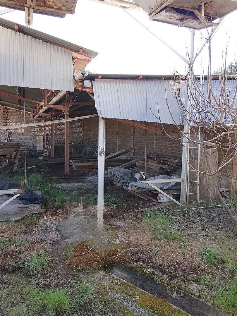 Industrial building for sale in Arenas de San Pedro, imagen 4