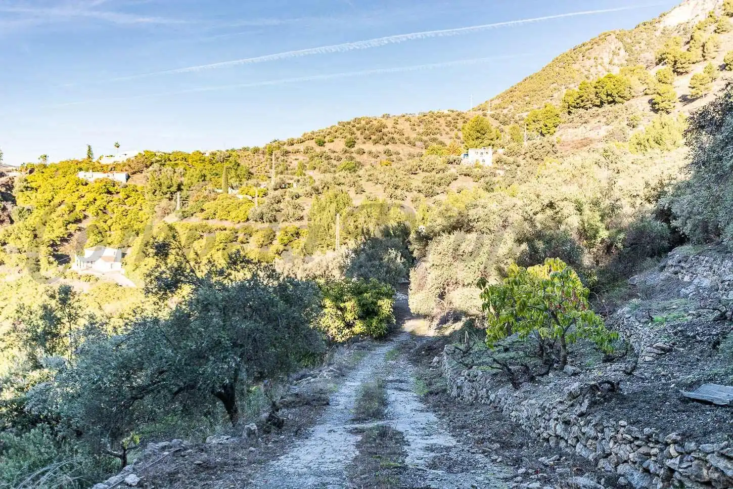 Maison à vendre à Frigiliana, imagen 13