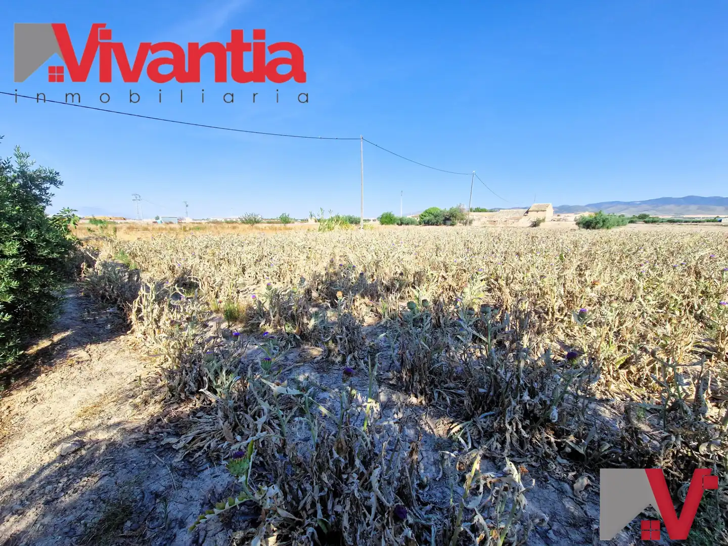 Houses for sale in Lorca  with Air Conditioner, Private garden and Terrace