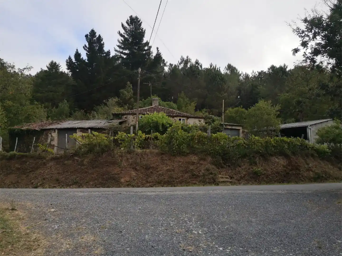 Vista exterior de Finca rústica en venda en Vila de Cruces