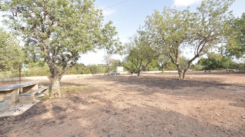 Photo 5 of Residential for sale in Náquera - Polígono 11 Parcela 54, Casco Urbano, Náquera