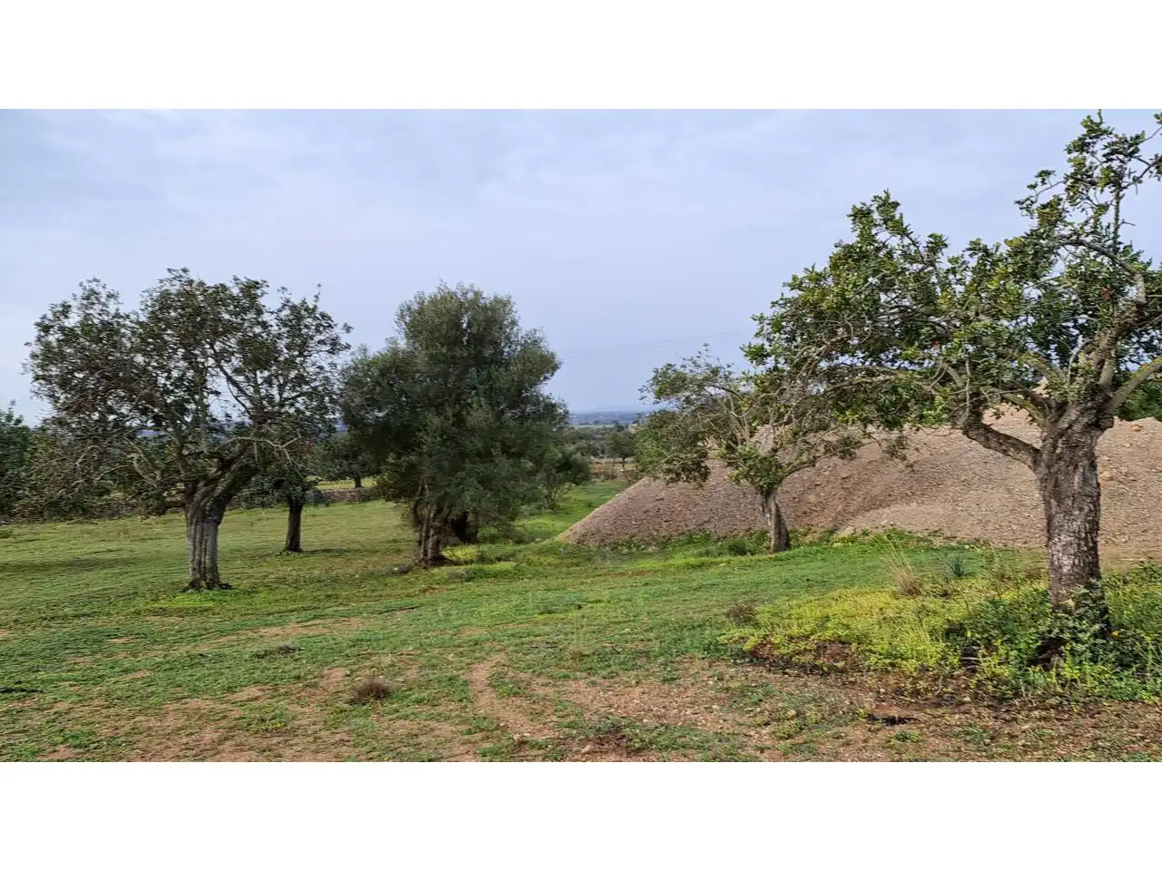 Landhaus mit Pool zum Verkauf in Poligono 4 608, imagen 10
