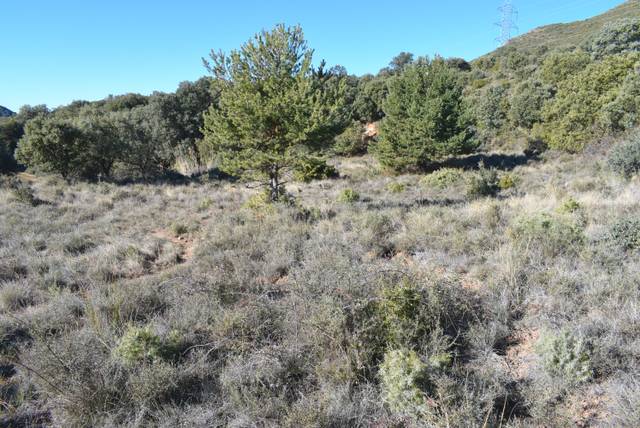 Terreno residencial en Venta en Calle la Isuela, 12 en Nueno