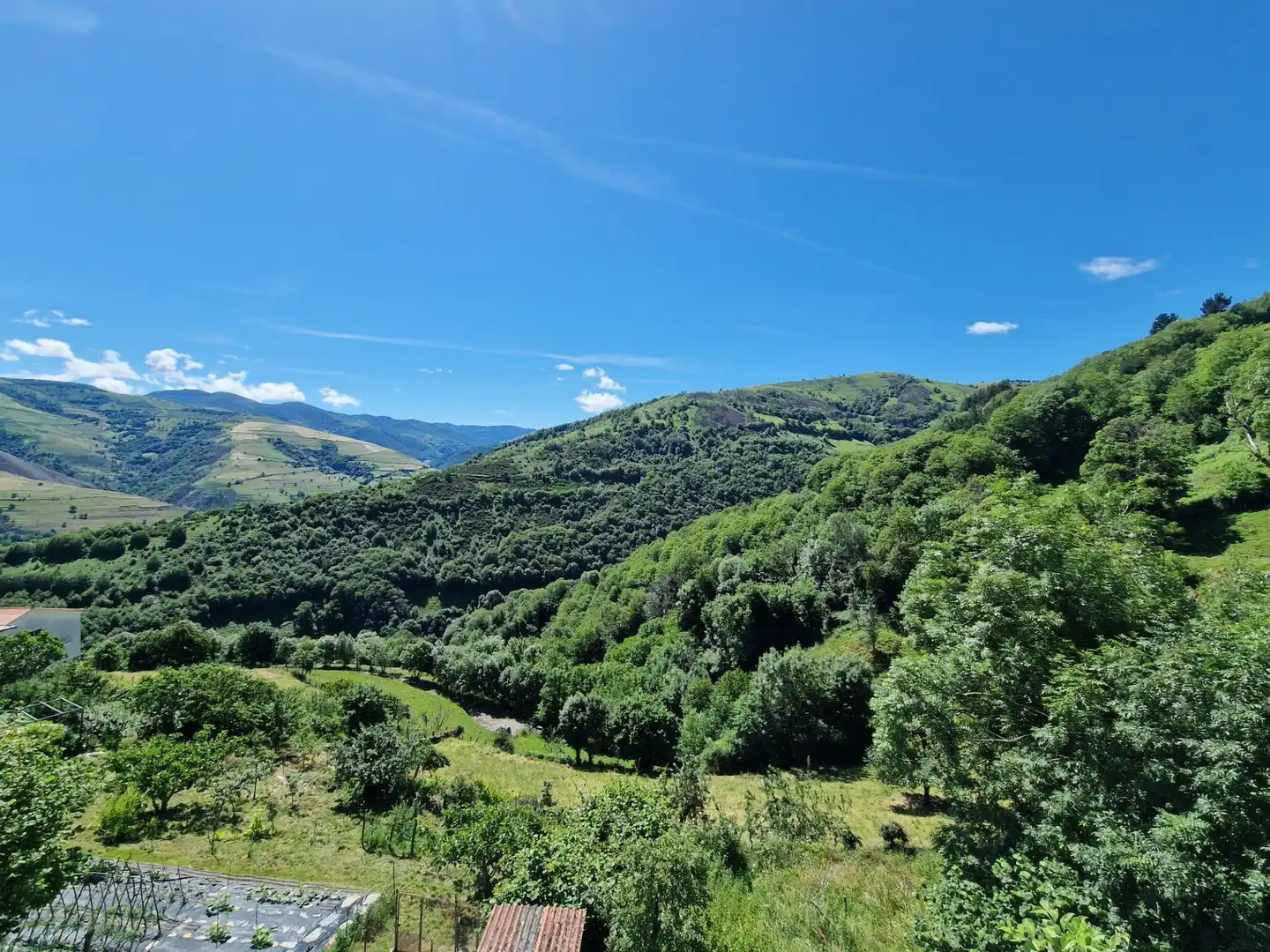 Vista exterior de Finca rústica en venta en Cangas del Narcea con Calefacción, Jardín privado y Terraza