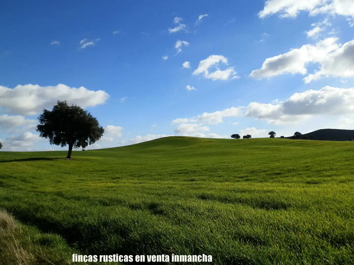 Terreny rústic en venda a Viso del Marqués, imagen 9