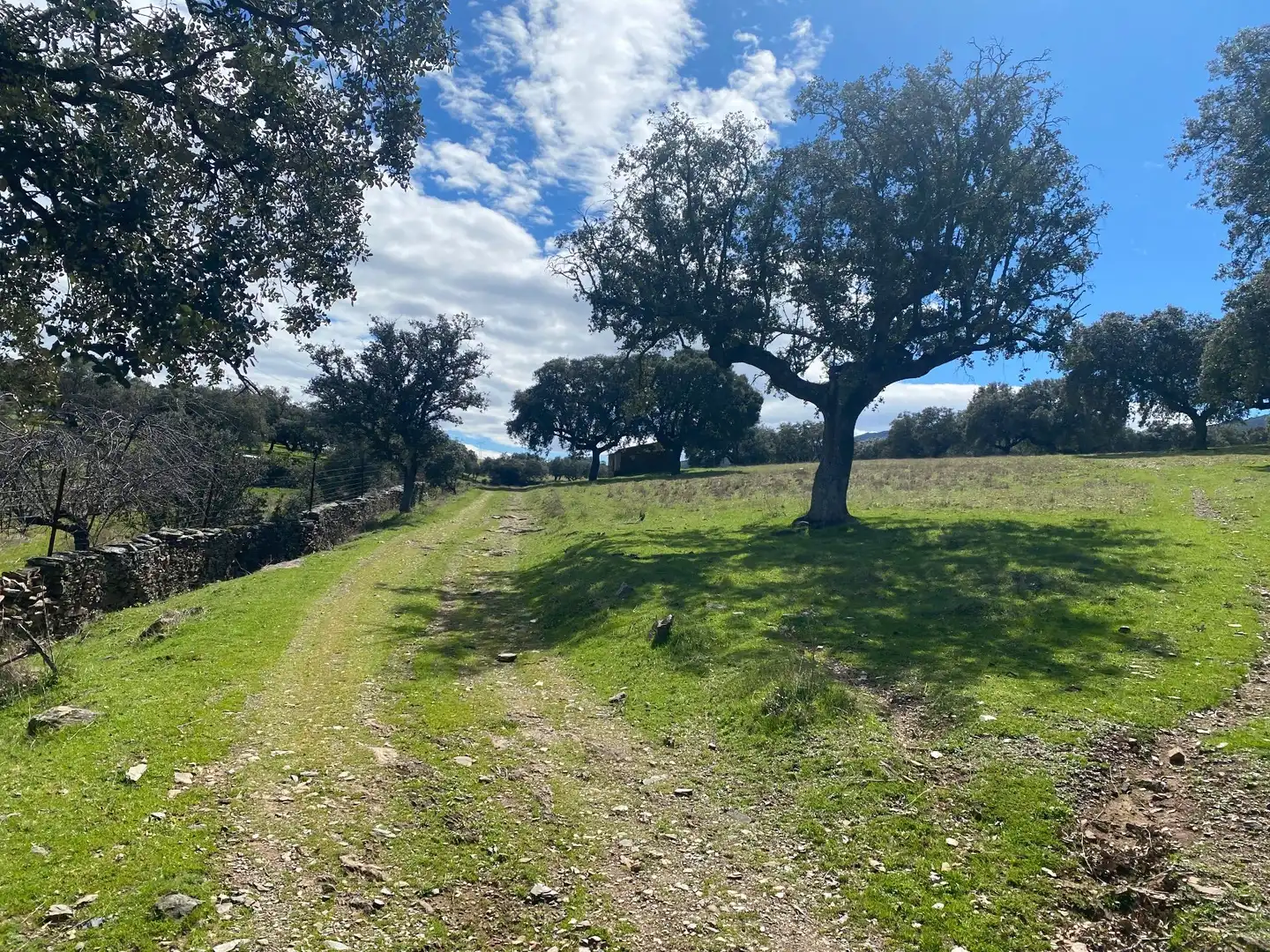 Terreny en venda en Mohedas de la Jara
