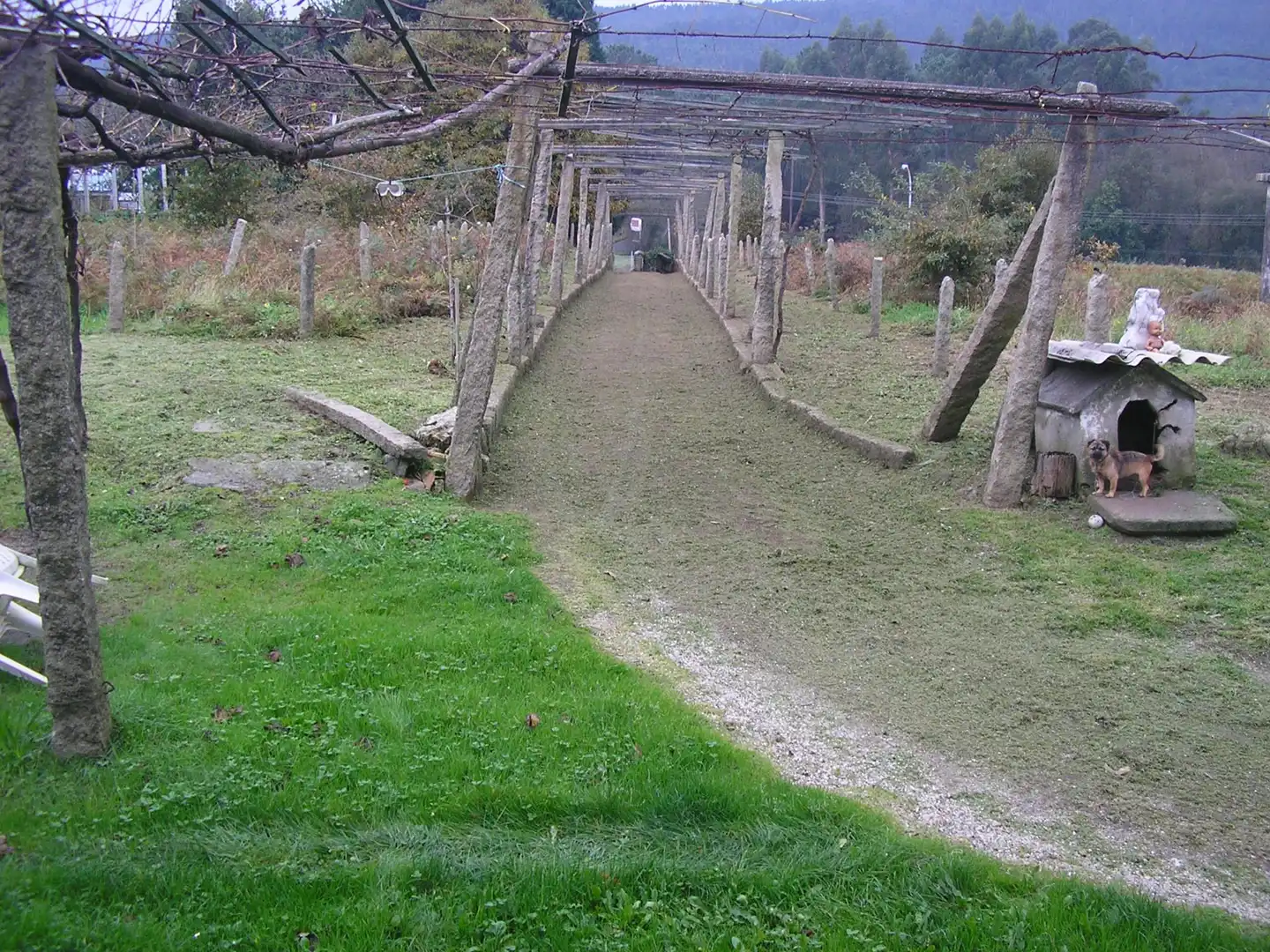Jardí de Casa o xalet en venda en Boiro