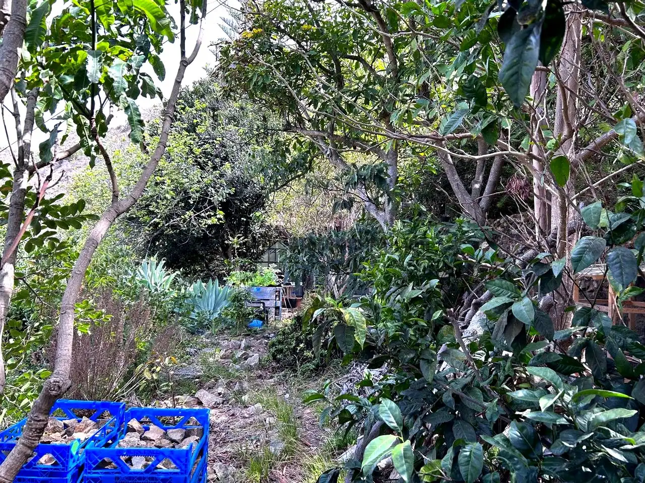 Jardín de Finca rústica en venta en Vallehermoso con Aire acondicionado, Calefacción y Jardín privado