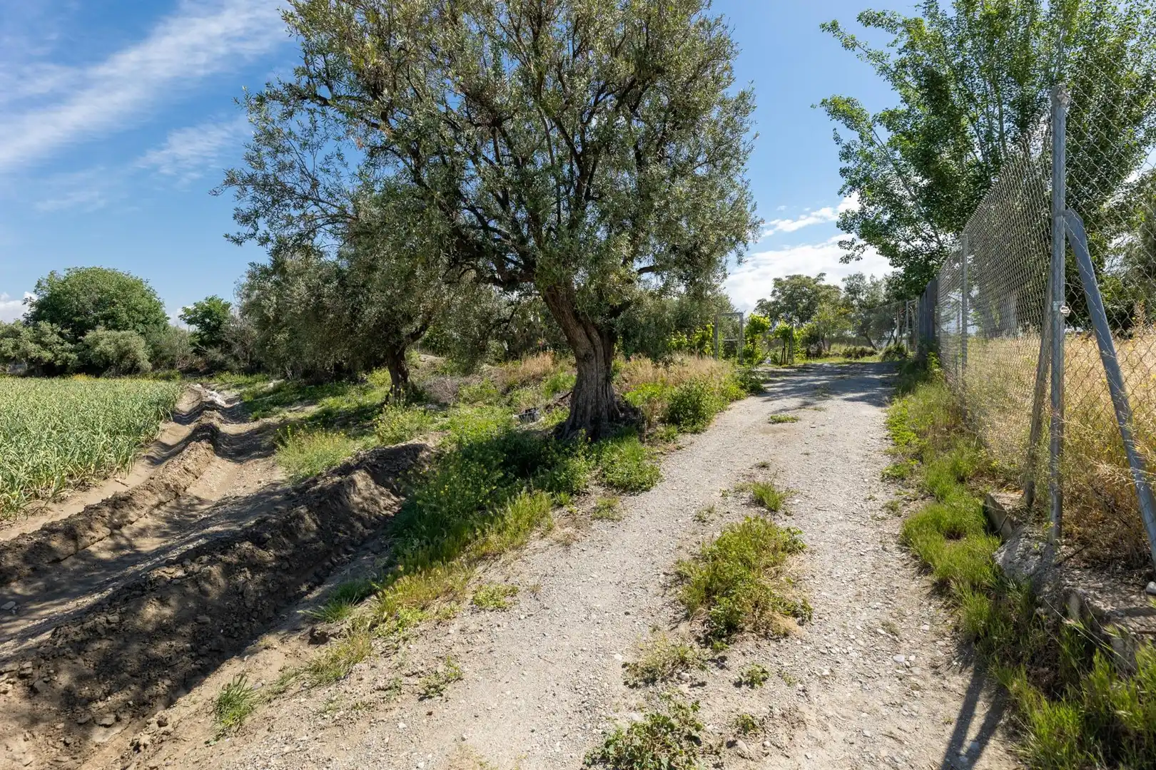 Terreni e lotti in vendita a Ramal del Río, imagen 4