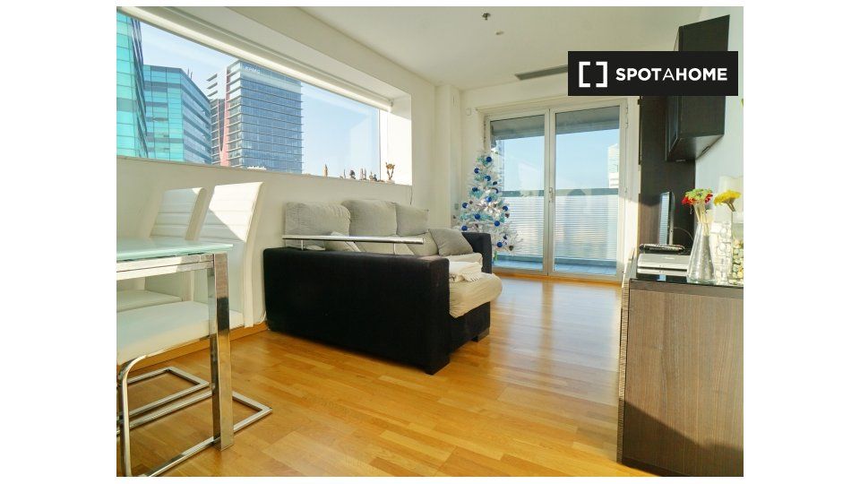 Living room of Flat to rent in L'Hospitalet de Llobregat  with Air Conditioner, Heating and Furnished
