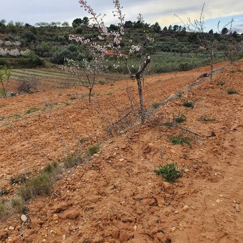 Terreno en Venta en El Pinell de Brai