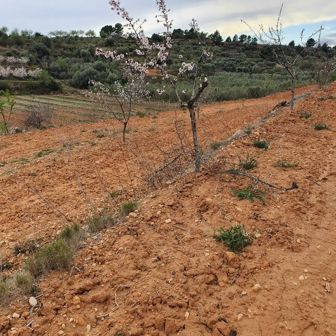 Rustikales Grundstück zum Verkauf in El Pinell de Brai