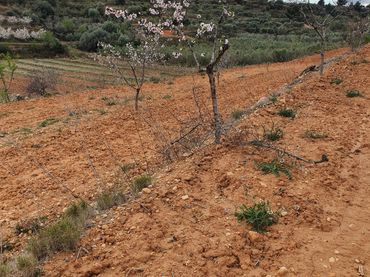 Rustikales Grundstück zum Verkauf in El Pinell de Brai