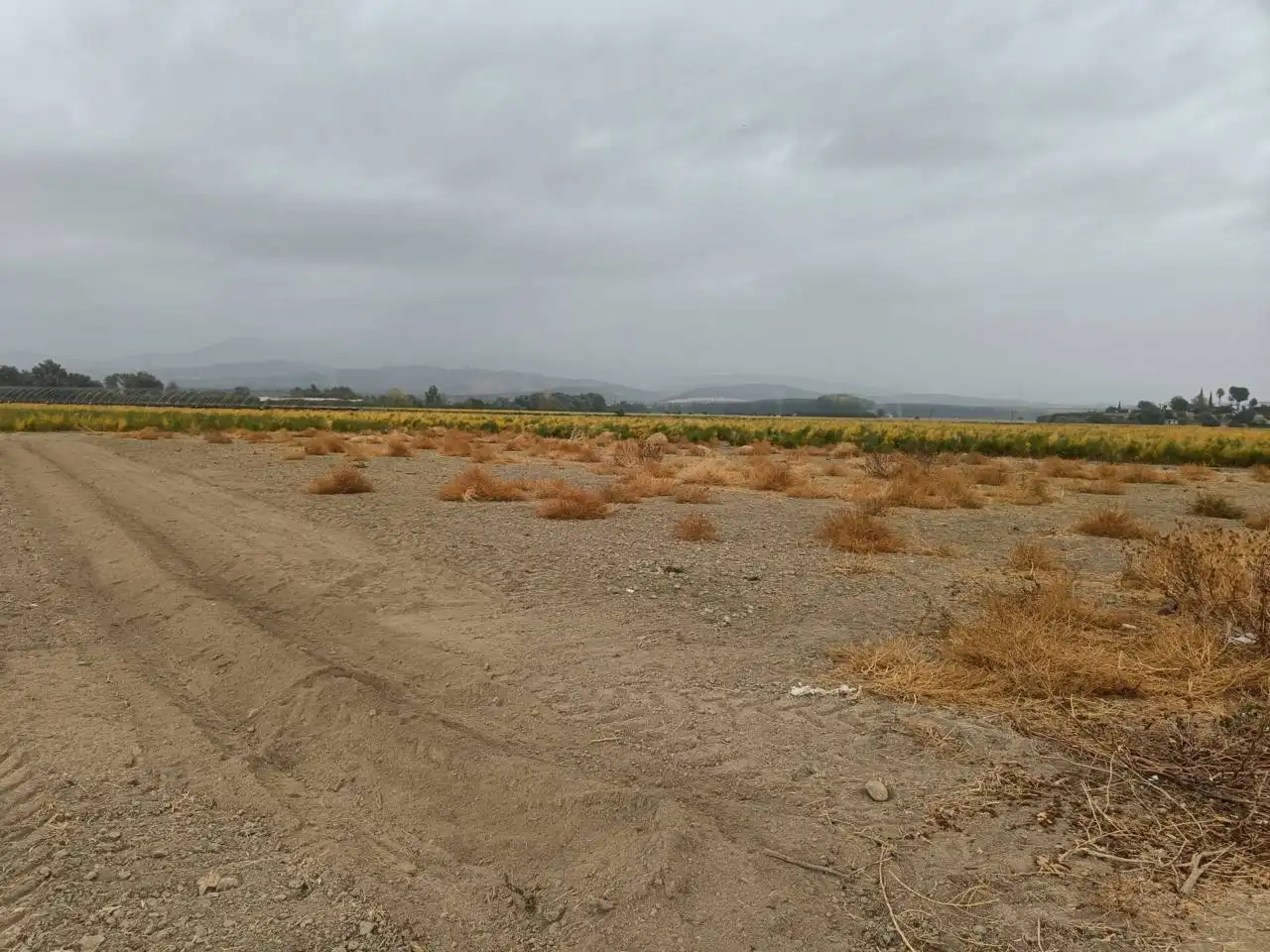 Rural land for sale in Huétor Tájar, imagen 3