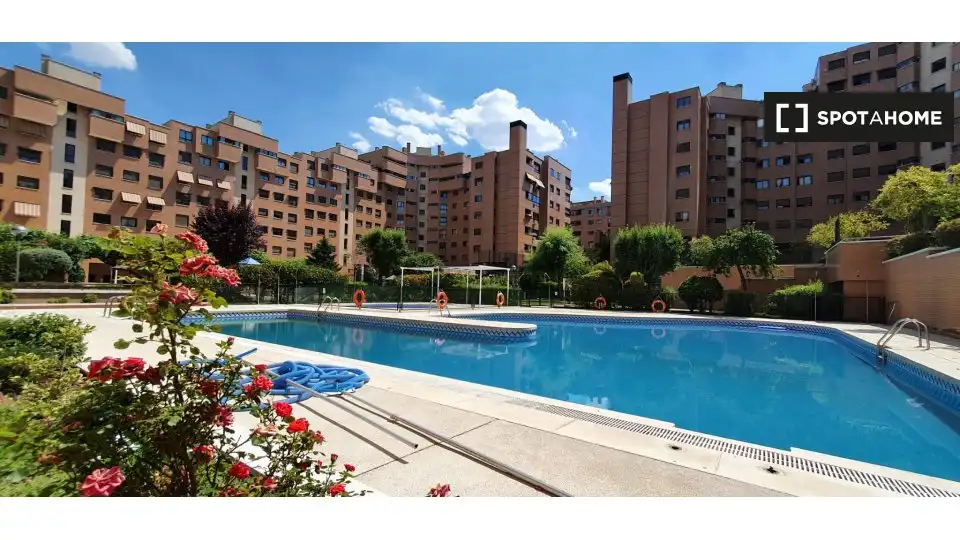Piscina de Piso de alquiler en Madrid con Aire acondicionado, Calefacción y Amueblado