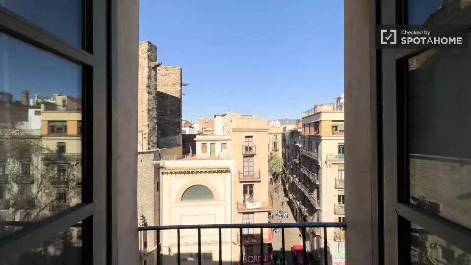 Appartamento con terrazza in affitto a Ciutat Vella, imagen 9