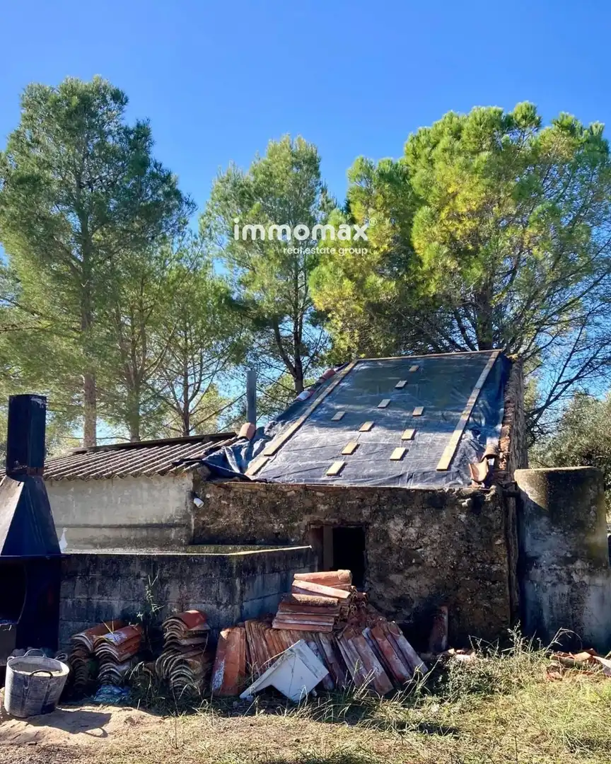 Rural land for sale in Godall, imagen 16