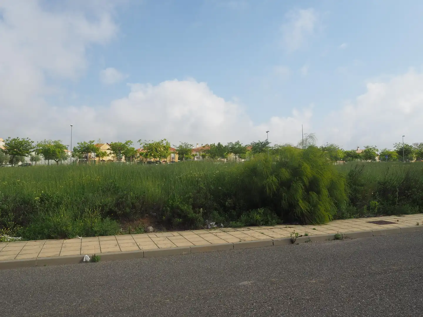 Terrenys i solars en venda a CL MENTA, imagen 7