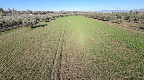 Photo 3 of Land for sale in Camino del Cerro, 189, Villa de Otura, Granada