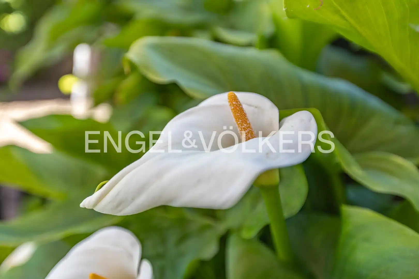 Jardín de Casa o chalet en venta en Castellar del Vallès con Aire acondicionado, Calefacción y Jardín privado