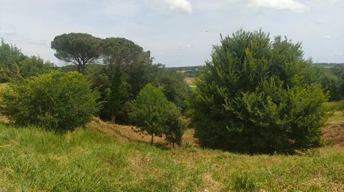 PARCELA DE 800 M2 EN EL CENTRO DE SILS, imatge 5