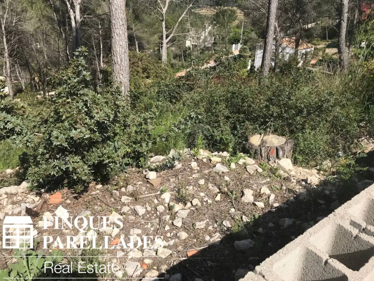 Rural land for sale in Olivella, imagen 6
